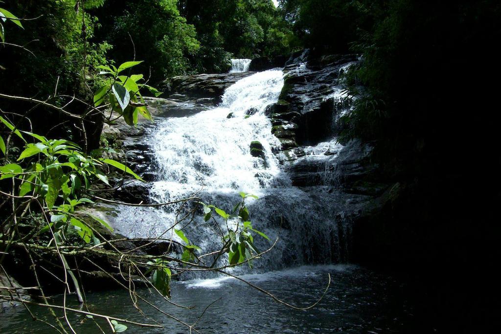 מלון São Francisco de Paula Terra Do Sempre - Reserva Ambiental מראה חיצוני תמונה