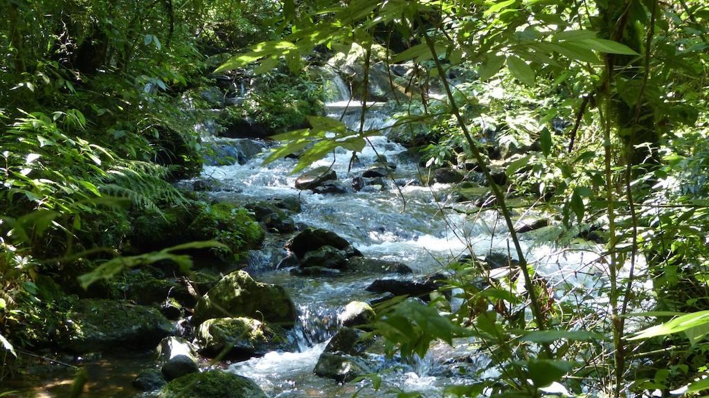 מלון São Francisco de Paula Terra Do Sempre - Reserva Ambiental מראה חיצוני תמונה